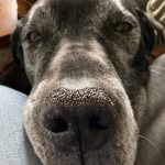 Marek Brownfield - @marek_brownfield - Instagram