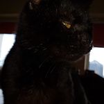 Marek Brzeziński - @marek16656 - Instagram