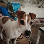 Marek Brzeziński - @marlonnicklas.n_08 - Instagram