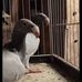 Marek Cygan - Facebook