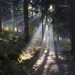 Marek Drozd - @marekdrozd67 - Instagram