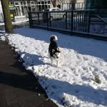 Marek Gajdis - @marekgajdis - Instagram