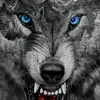Marek Gil - @user1006507817038 - TikTok
