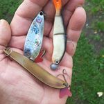 Marek Janik - @marek.janik.395017 - Instagram