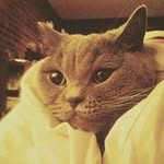 Marek Kącki - @marekkacki - Instagram