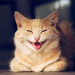 Marek Kotecki - @marekot22 - Instagram