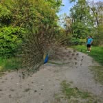 Marek Kucbel - @marek.kucbel - Instagram