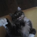 Marek Kulesza - @marek5207 - Instagram