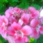 marek lapinski - @marek06.502018 - Instagram