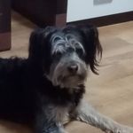 Marek Łapiński - @lapinski906 - Instagram