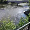 Marek Laskowski340 - @mareklaskowski340 - TikTok