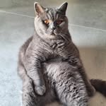 Marek Laskowski - @marek.laskowski17 - Instagram