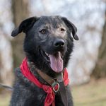 Marek Marek Lipiński - @bioverde.78 - Instagram