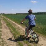 Marek Lis - @marek86420 - Instagram