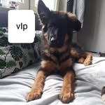 Marek Łoś - @spocony_maro - Instagram