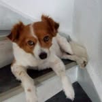 Marek Markowski - @marek6268 - Instagram