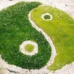 Marek Nowaczyk - @marek4751 - Instagram