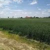 Marek Pięta - @marek.pita1 - TikTok