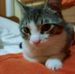 Marek Simon - Facebook