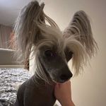 Marek Simonides - @simonides.marek - Instagram