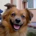 Marek Sobieski - Facebook