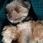 Marek Sobieski - @marekq997 - Instagram