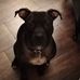 Marek Sowinski - Facebook