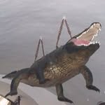 Marek Szpakowski - @marekszpakowski - Instagram