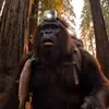marekvlcek - @bigfootboyss - TikTok