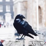 Marek Wrona - @pan_marek_wrona - Instagram