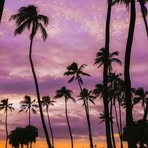 Marel Lopez - Facebook