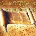 Marelyn Ramos Yisraelita - @yisraelita - Instagram