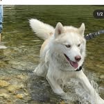 maren brown - @maren_wuv_mypuppy - Instagram