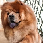 maren brown - @maren_wuv_mypuppy_ - Instagram