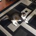 Marg Adams - Facebook