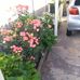 Marg Clarke - Facebook