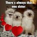 Marg Martin - Facebook