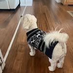 Marg Martin - @marg.martin.39948 - Instagram