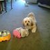 Marg Martin - Facebook