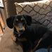 Marg Martin - Facebook