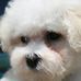 Marg Martin - Facebook
