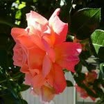 Marg Roberts - @margpeter75 - Instagram