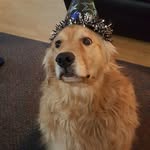 Marg Smith - @margie3445 - Instagram