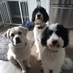 Marg Smith - @margsmith22 - Instagram