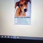 Marga Simon - @simon.marga - Instagram