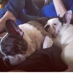 Marga Simon - @marga_hank_loves_coco - Instagram
