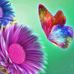 Margaret Abel - Facebook