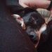 Margaret Addison - Facebook