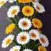 Margaret Alejandro - Facebook