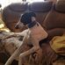 Margaret Allington - Facebook